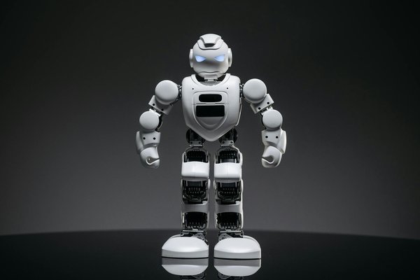 Travailler en tant que Webmaster dans le secteur public: défis et opportunités